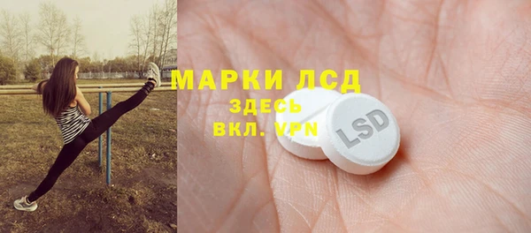 прущие грибы Мегион