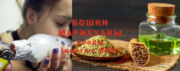 прущие грибы Мегион