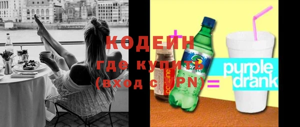 ПСИЛОЦИБИНОВЫЕ ГРИБЫ Михайлов