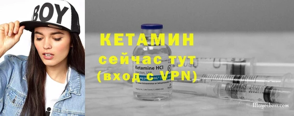 прущие грибы Мегион
