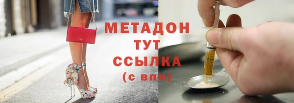 прущие грибы Мегион