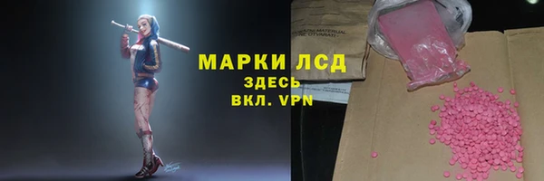 прущие грибы Мегион