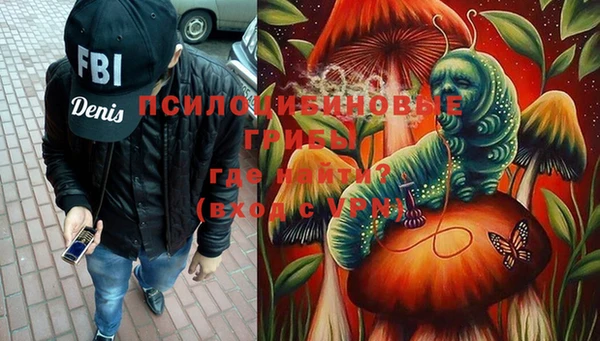 прущие грибы Мегион