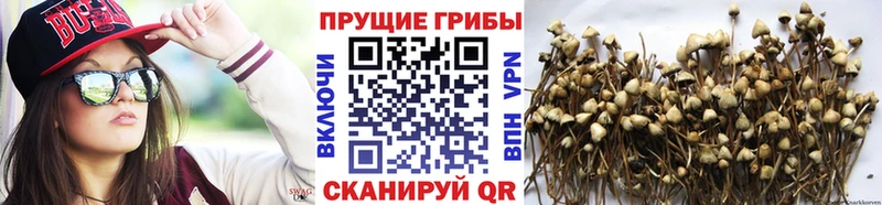 Галлюциногенные грибы мухоморы  Купить  Искитим 